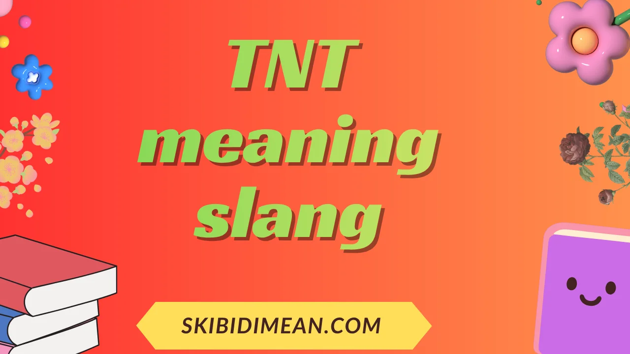 TNT meaning slang