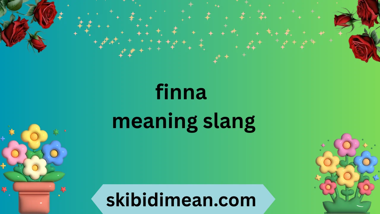 finna meaning slang