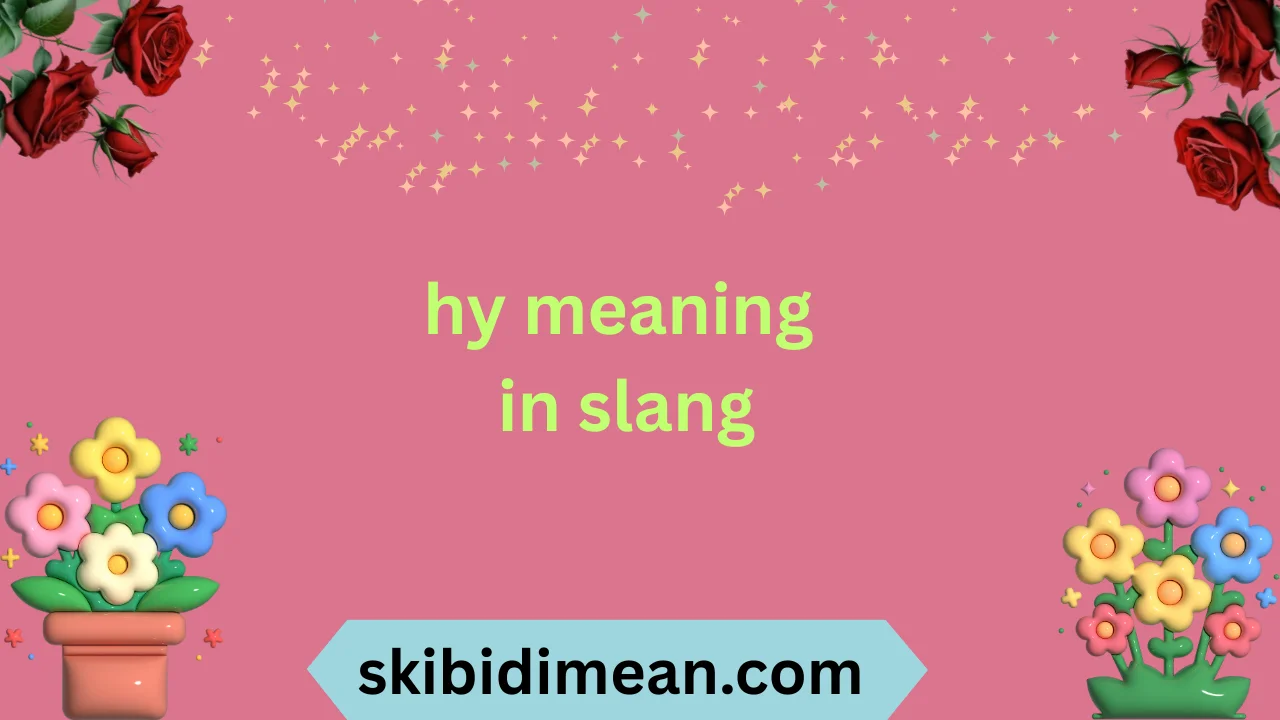 hy meaning in slang