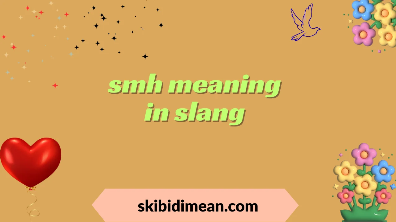 smh meaning in slang