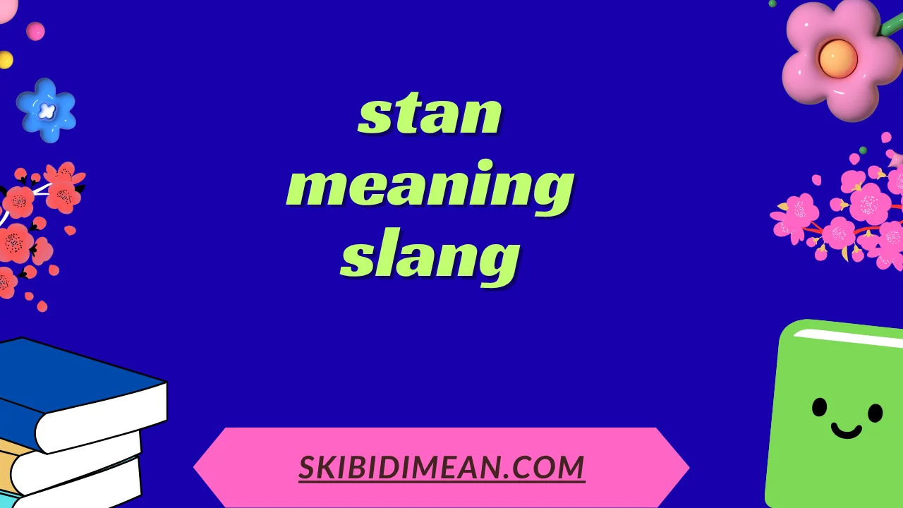 stan meaning slang