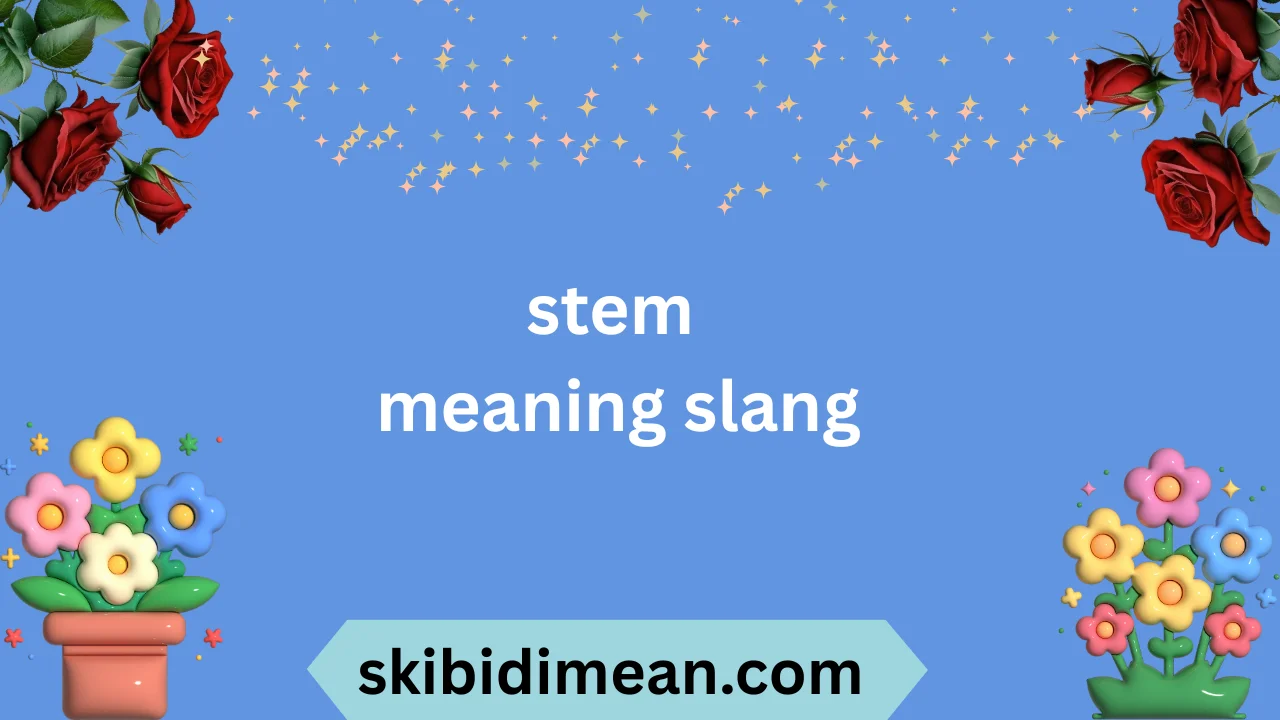 stem meaning slang