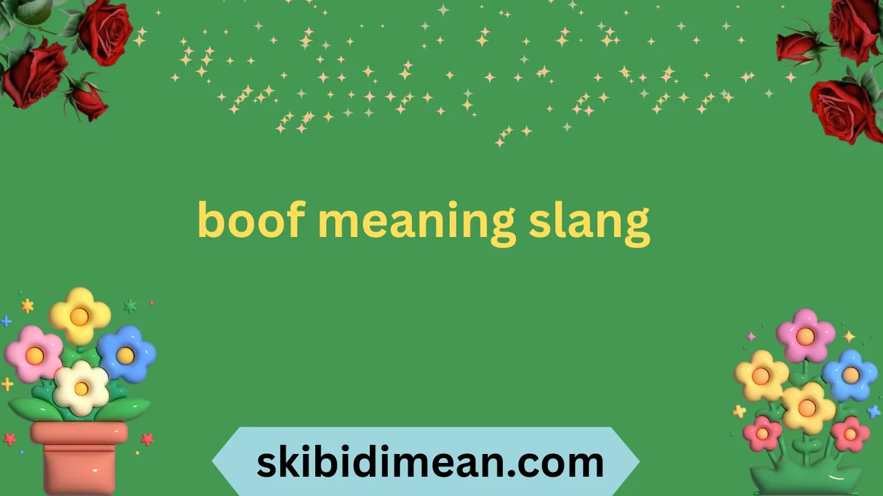 boof meaning slang