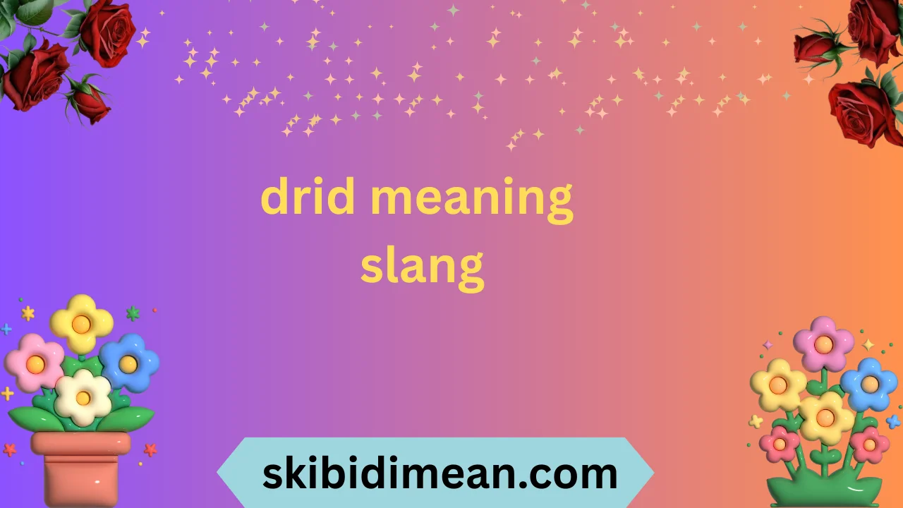 drid meaning slang
