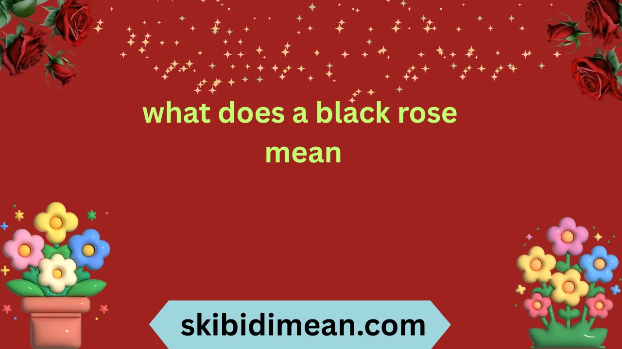 what does a black rose mean