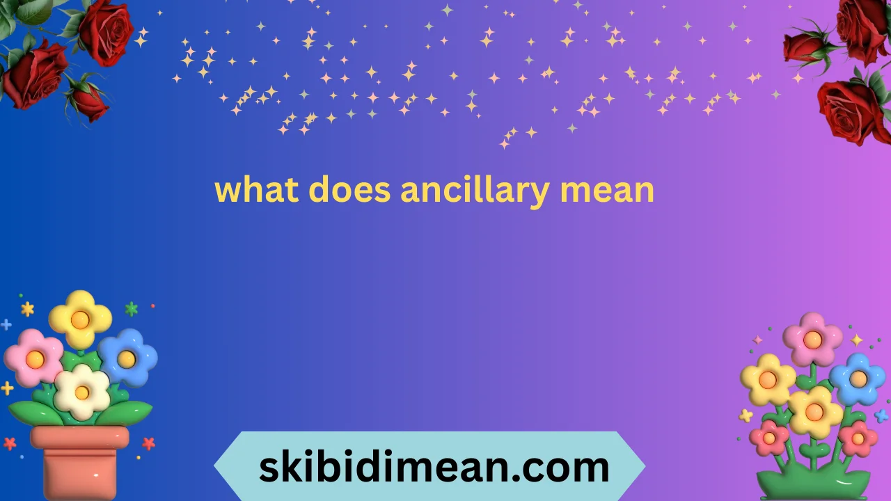 what does ancillary mean