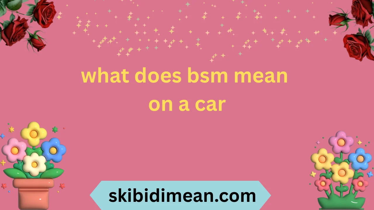what does bsm mean on a car