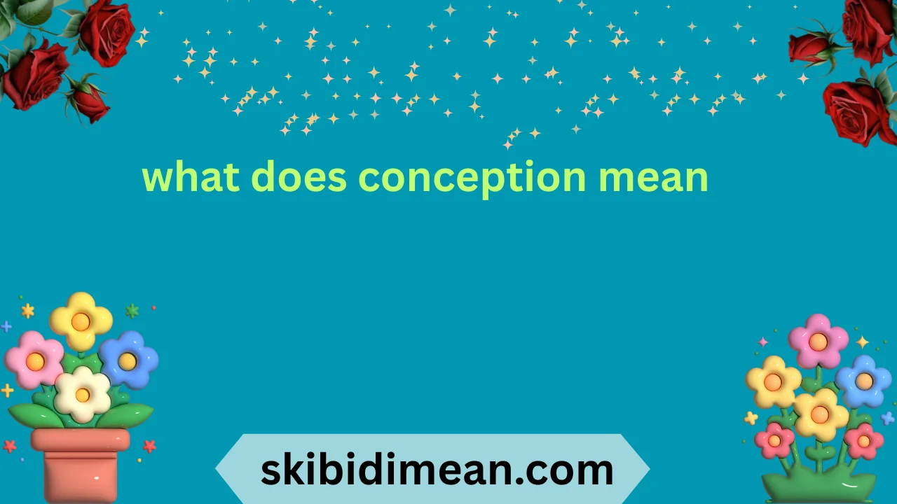 what does conception mean