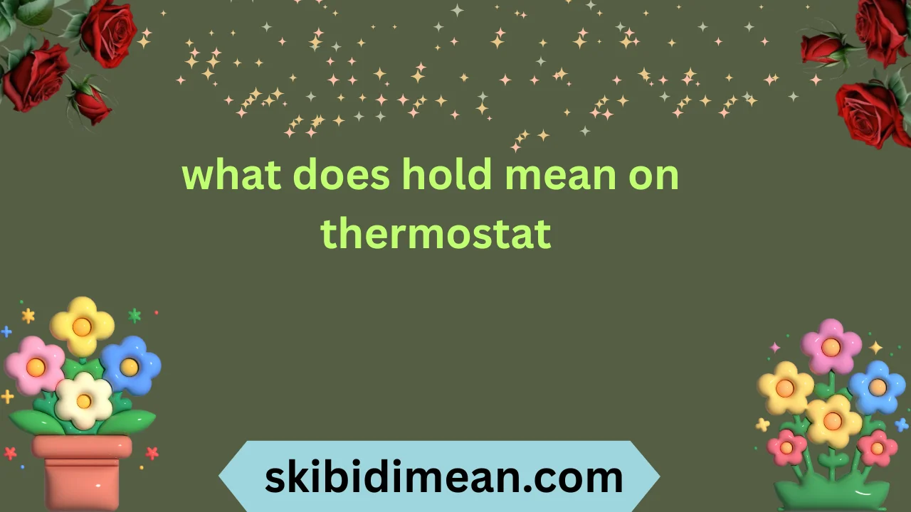 what does hold mean on thermostat