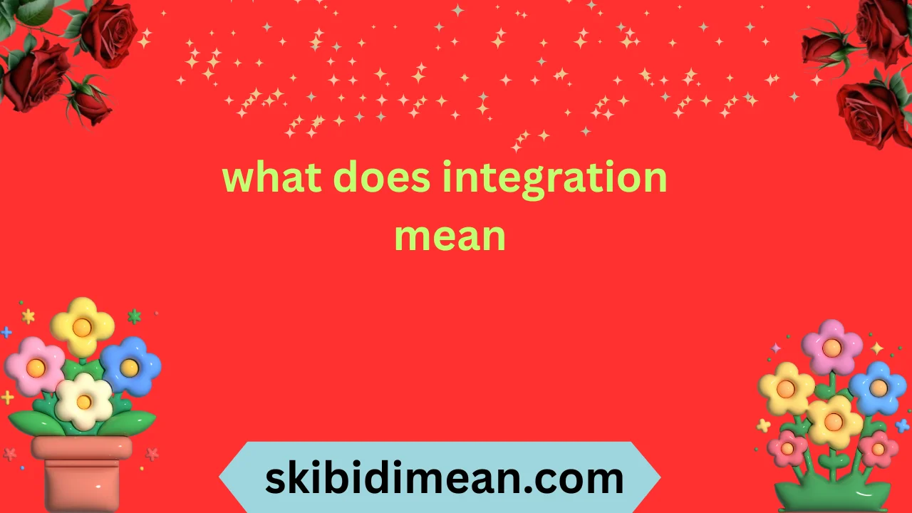 what does integration mean