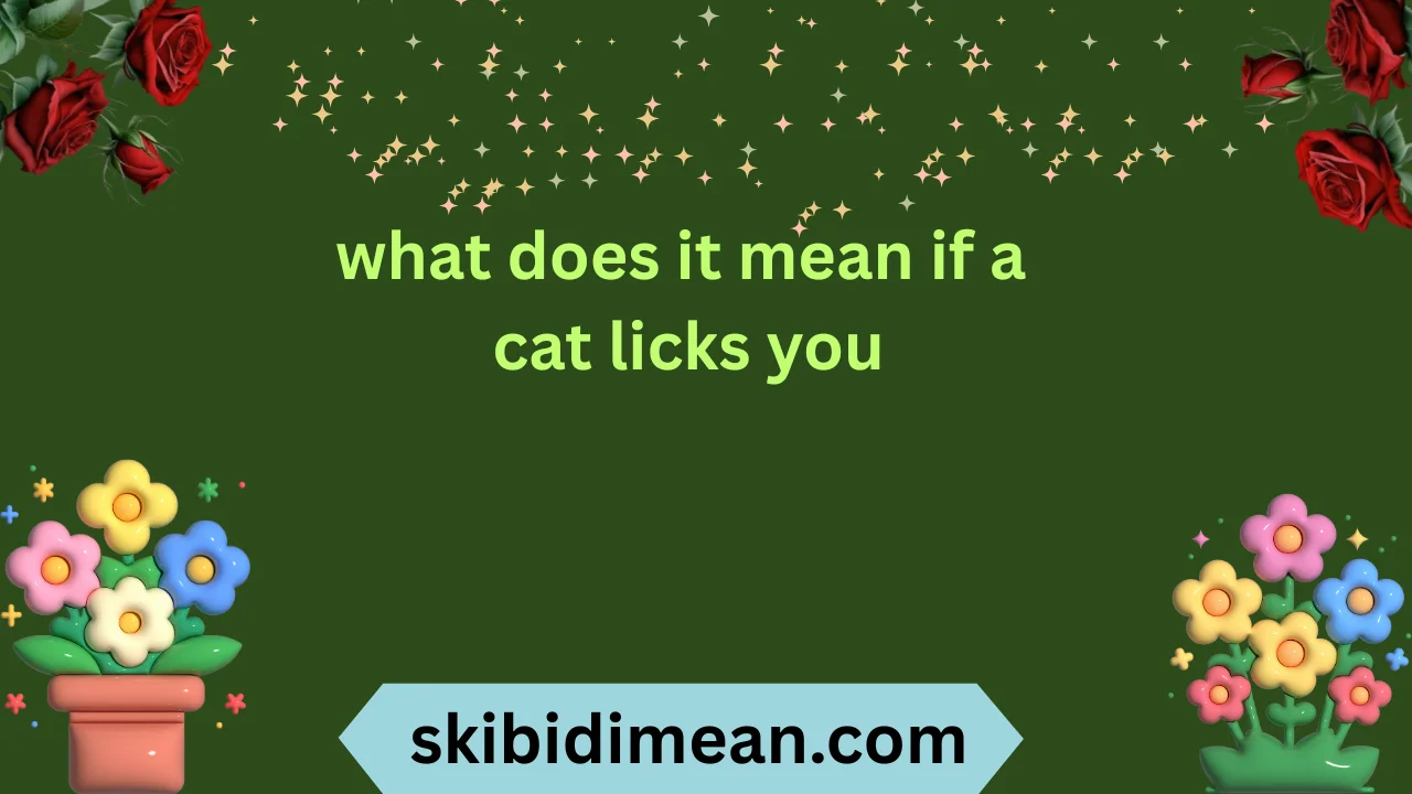 what does it mean if a cat licks you