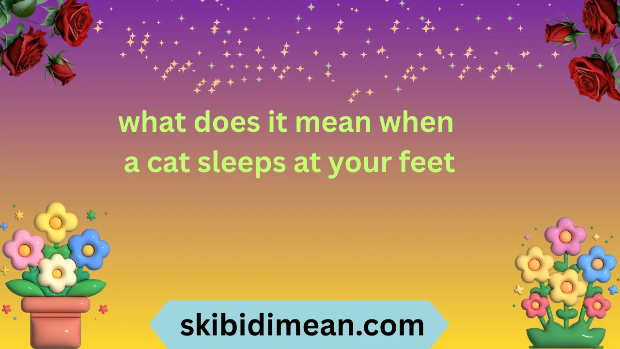 what does it mean when a cat sleeps at your feet