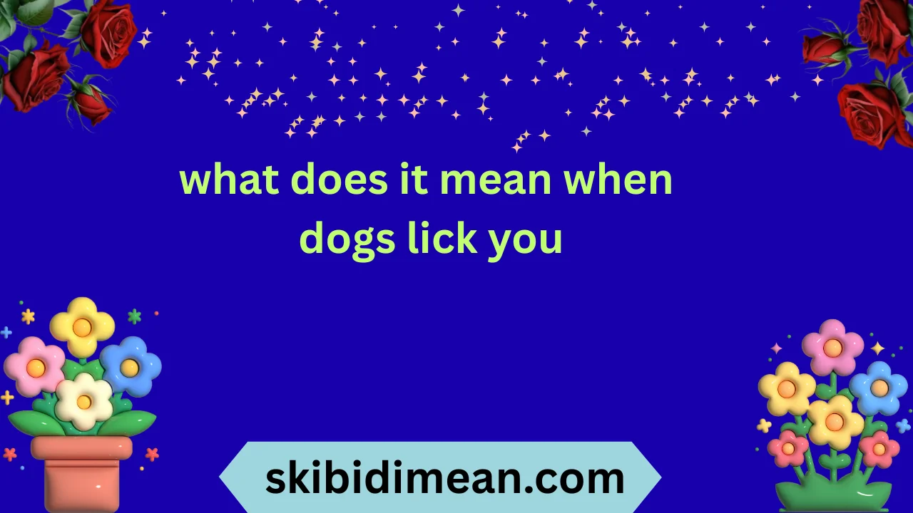 what does it mean when dogs lick you