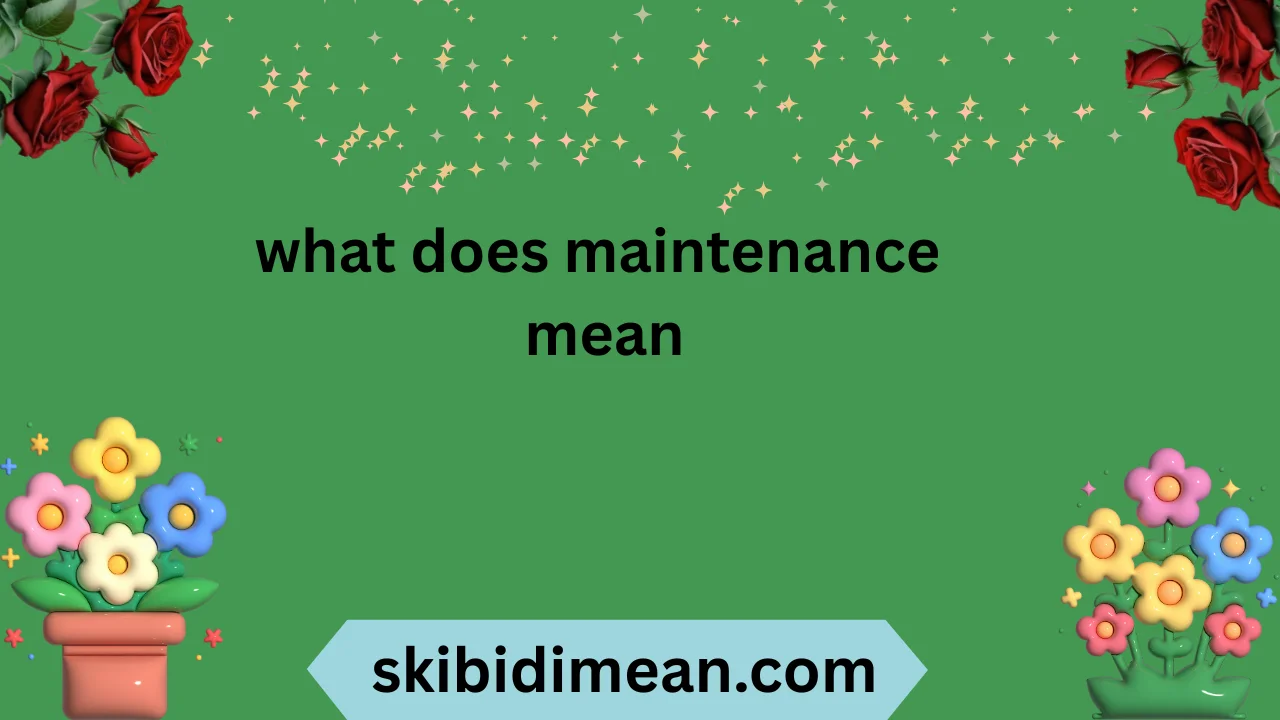 what does maintenance mean