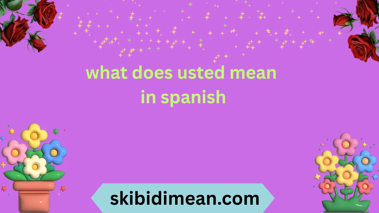 what does usted mean in spanish