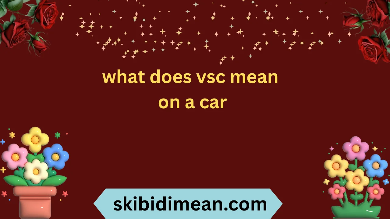 what does vsc mean on a car